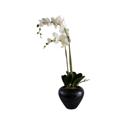 ARTIFICIAL PLANT  WHITE